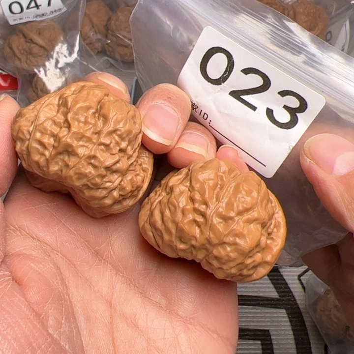 核桃蛙饼023号41尺