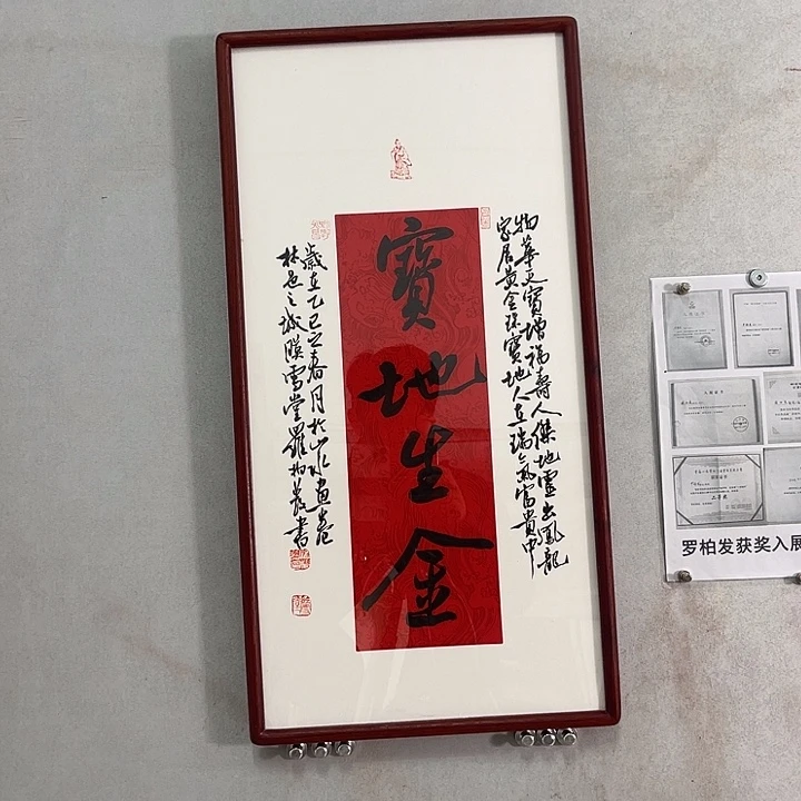 书法罗柏发老师的作品