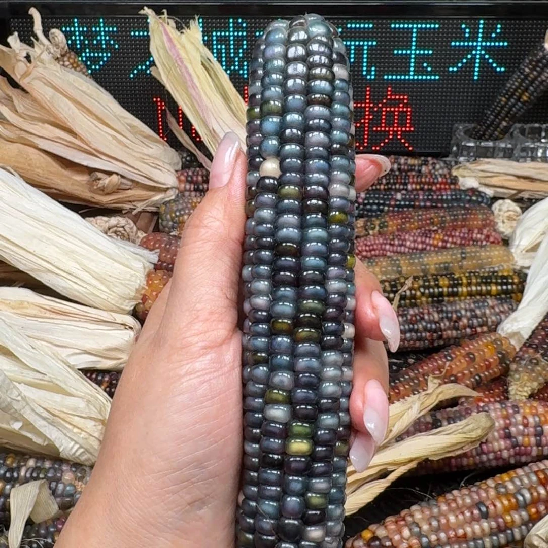 柏香籽/百香籽吊坠不**此