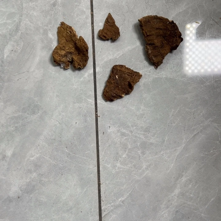 沉香沉香碎屑隐*月沉香港香大屿山胚