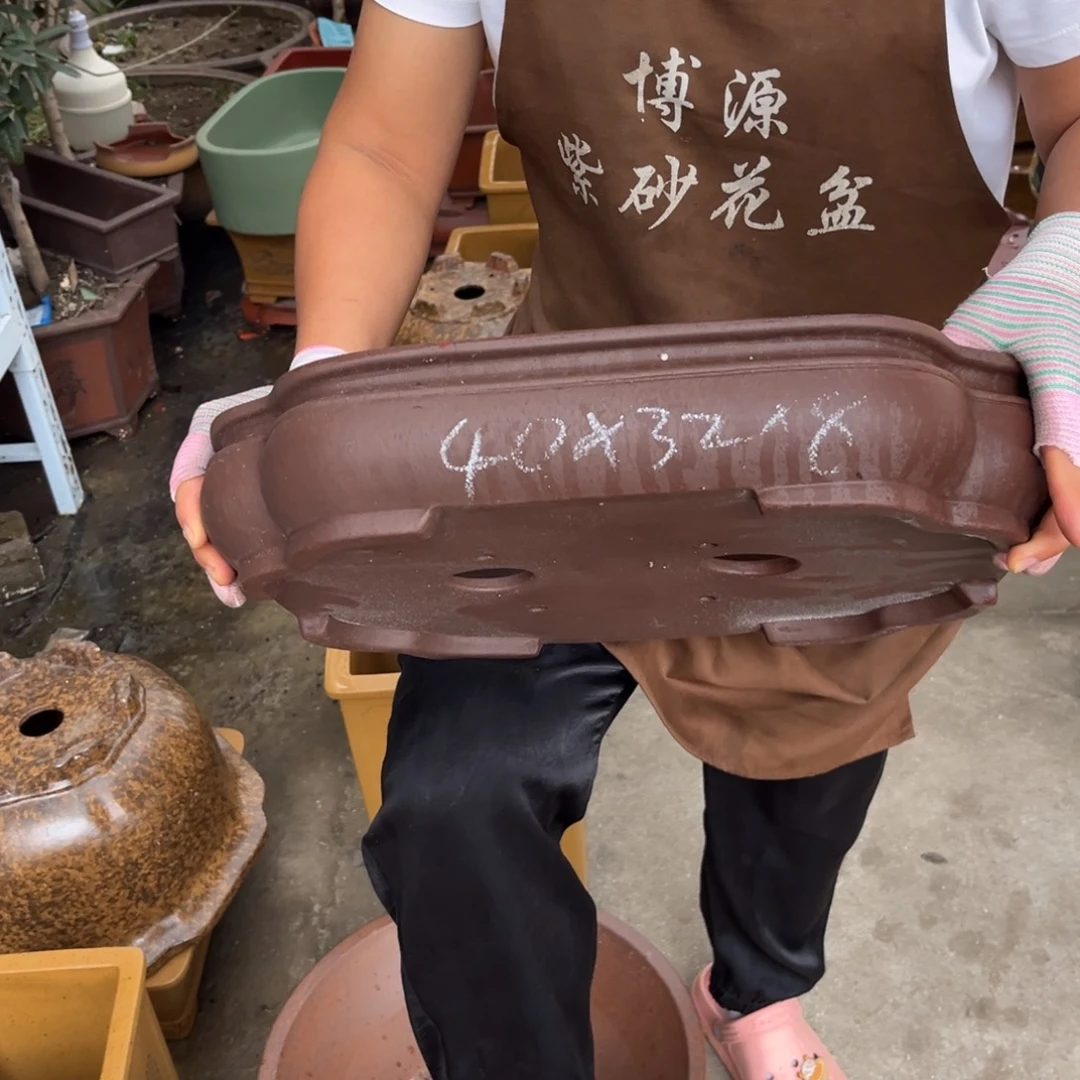 紫砂花盆盆景艺术