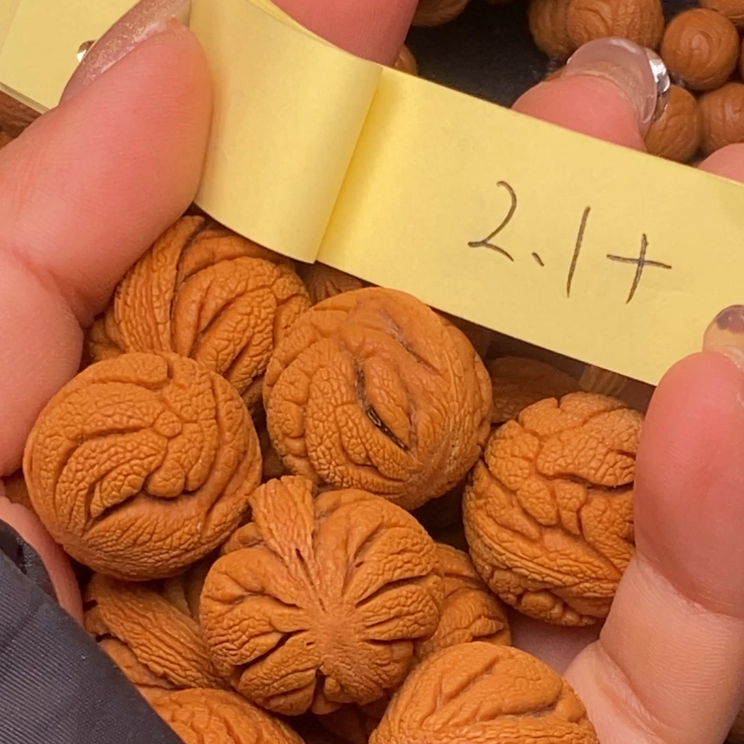 秦岭龙纹桃核13颗