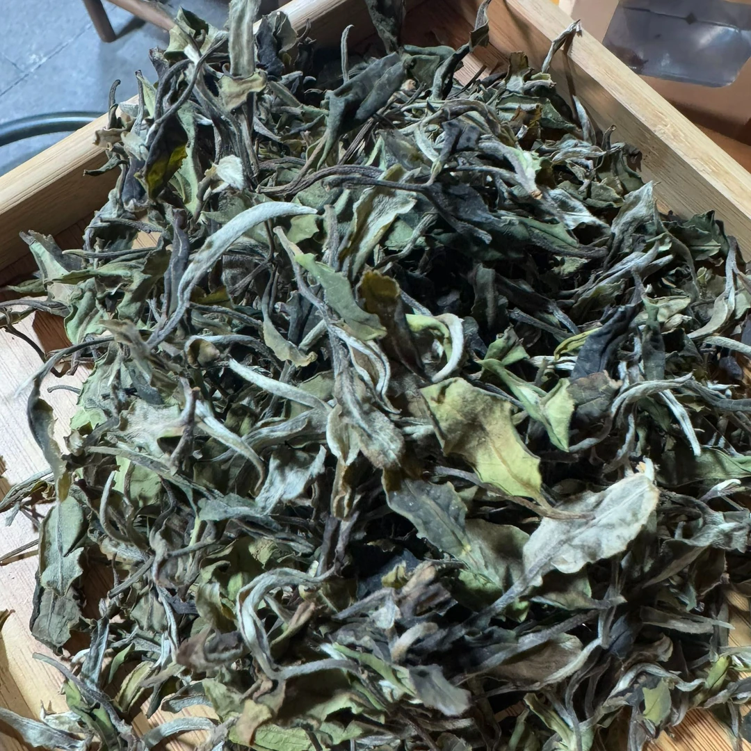 【没有试喝不支持退货】2024年高杆古树白茶 春 散茶 200克-【43号】