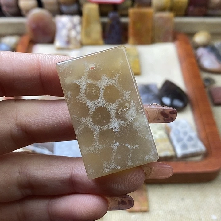 硅化珊瑚（珊瑚玉）未镶嵌颈饰