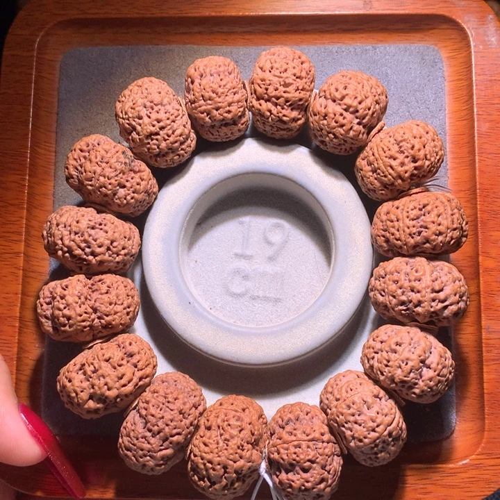 菩提籽类24+熊猫六瓣