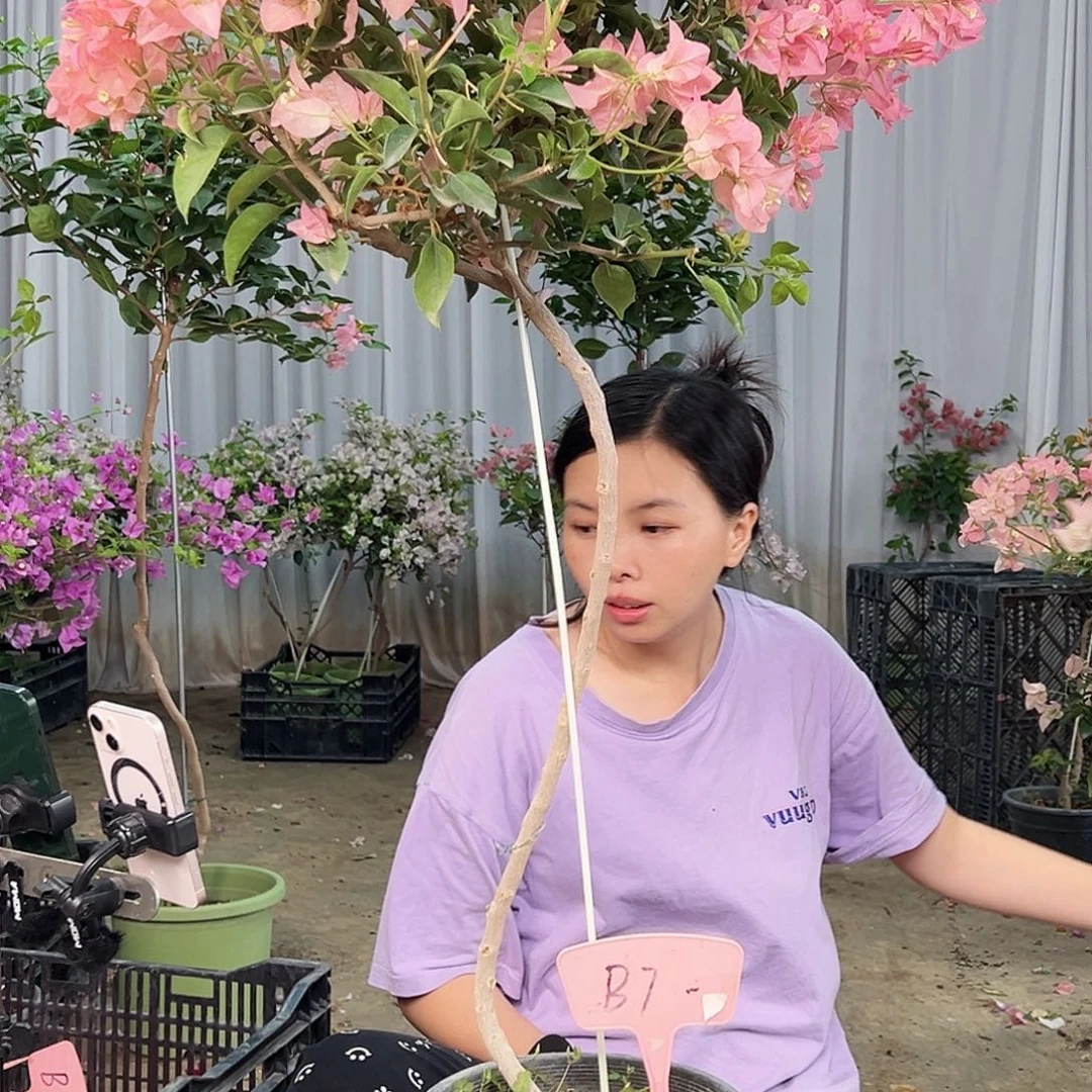 大***山完全开放B7卡亚塔