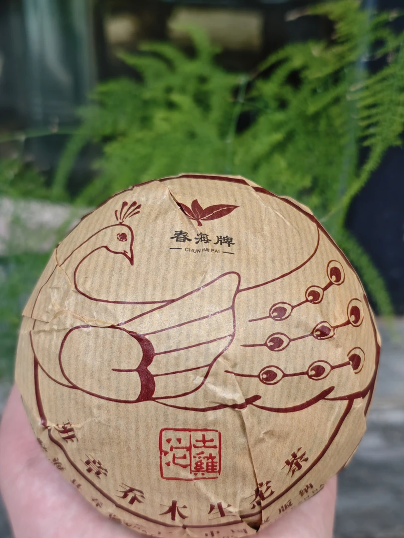 05年班章乔木生态沱茶