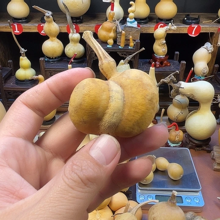 小***萝葫芦岛市、你也会很