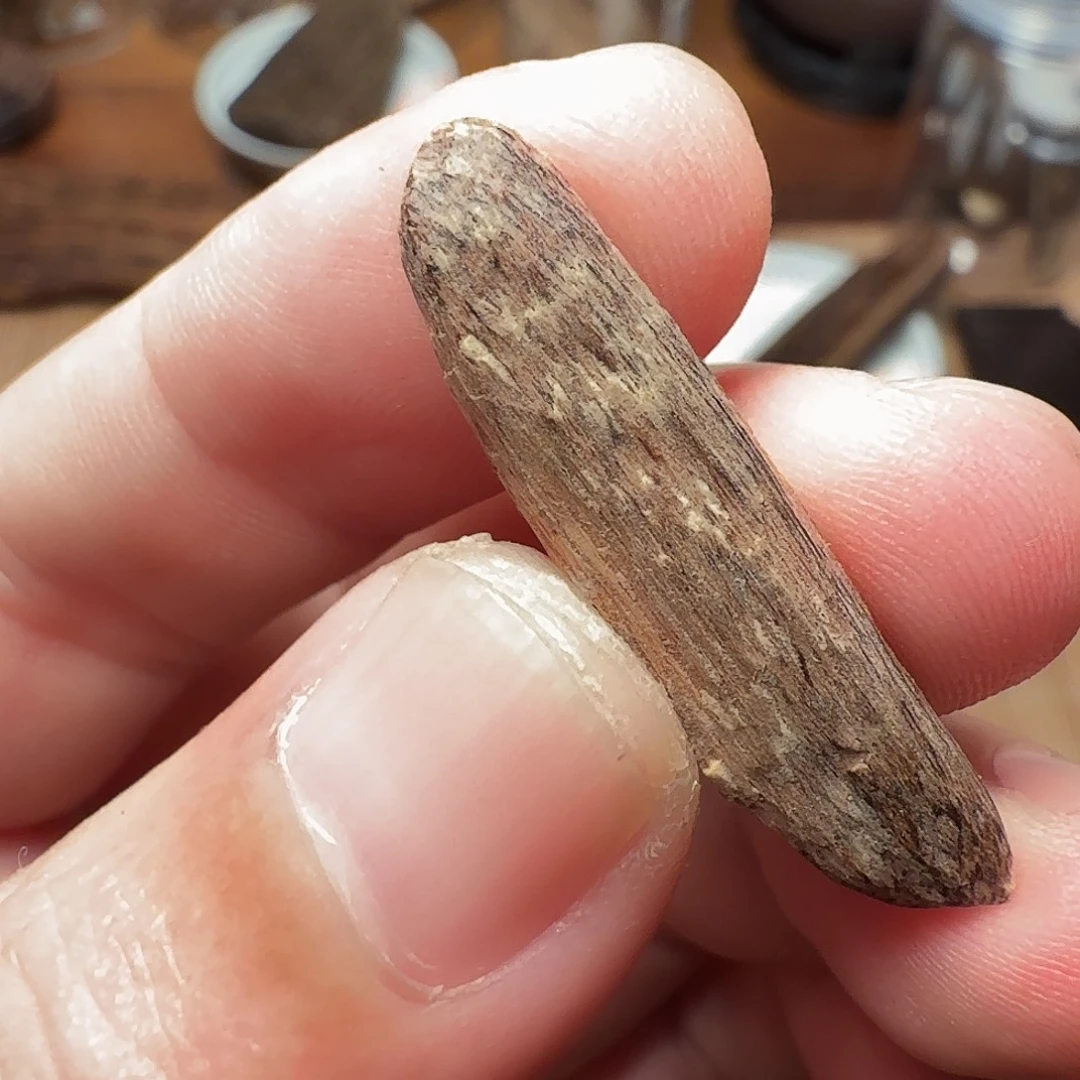 沉香国香海南瓜子