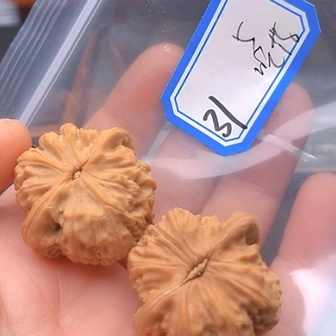 文玩核桃吊坠吃***针白狮子
