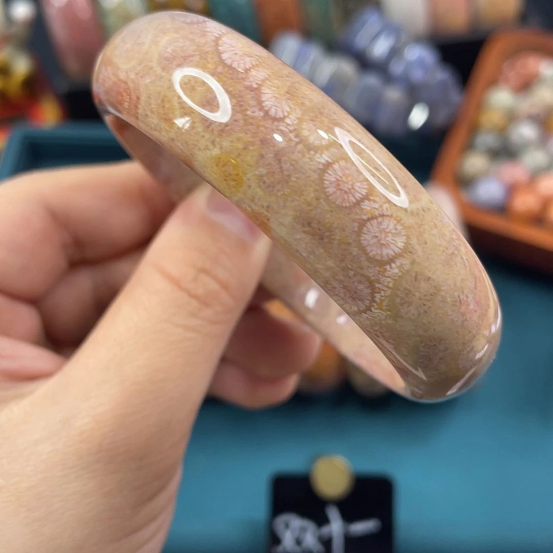 未镶嵌手镯硅化玉