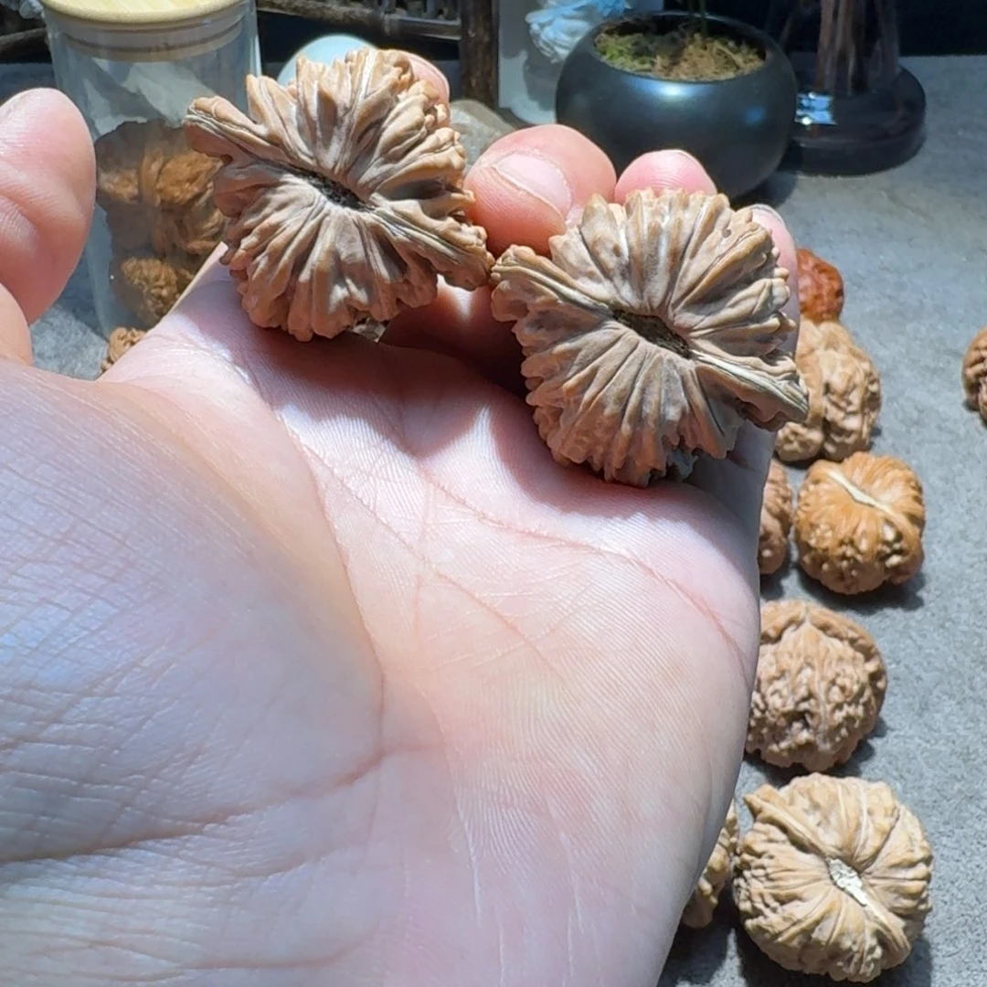 手串/手链核桃44全品楼子