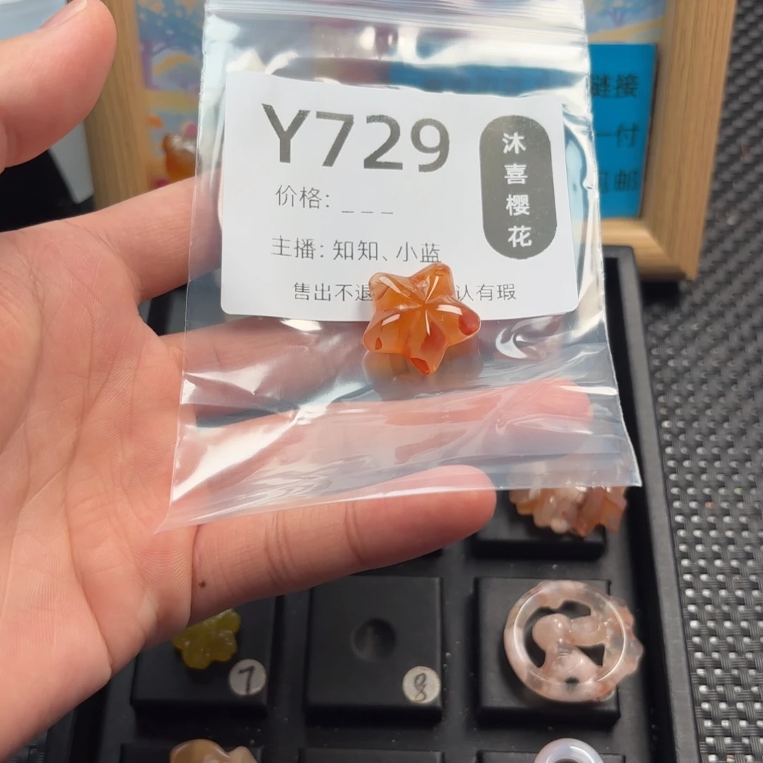A***N玛瑙/玉髓未镶嵌1