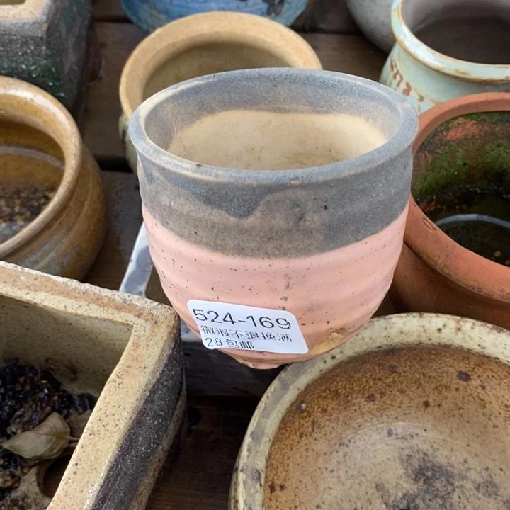 169号多肉盆小可爱