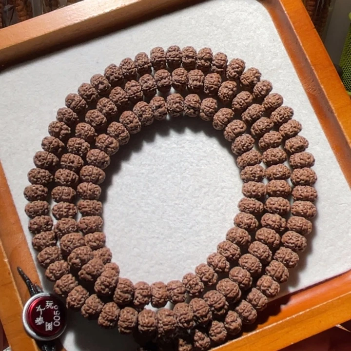 吊坠金刚菩提天花板老树平细长串