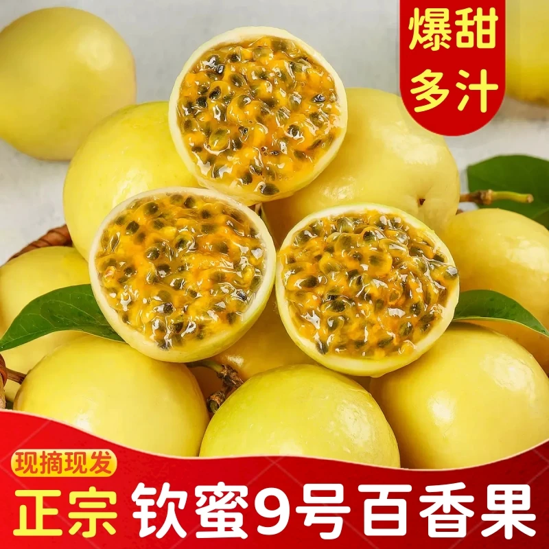 正宗广西钦蜜9号百香果香甜多汁当季新鲜产地直发【南宁仓发货】