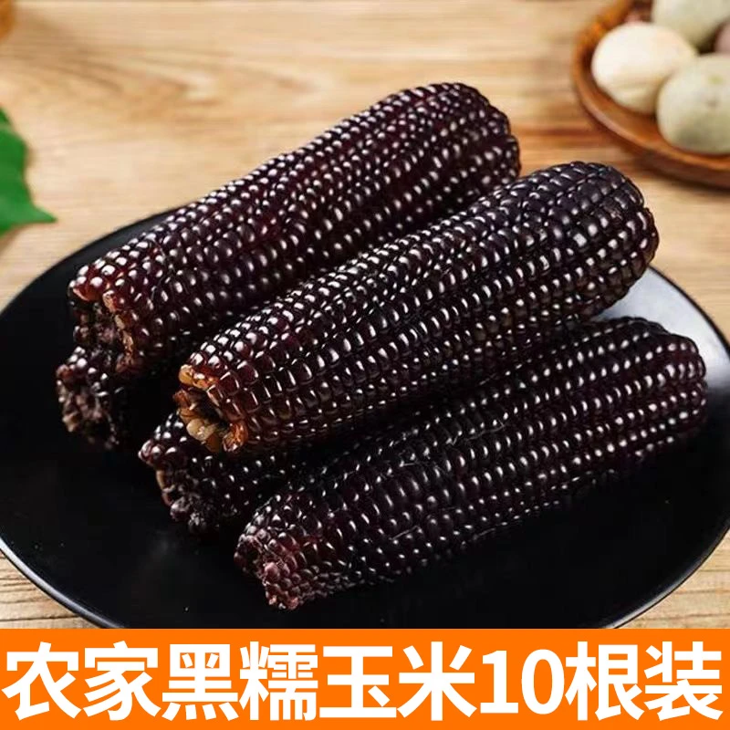 黑糯玉米 10根装 农家新货 黑玉米糯玉米