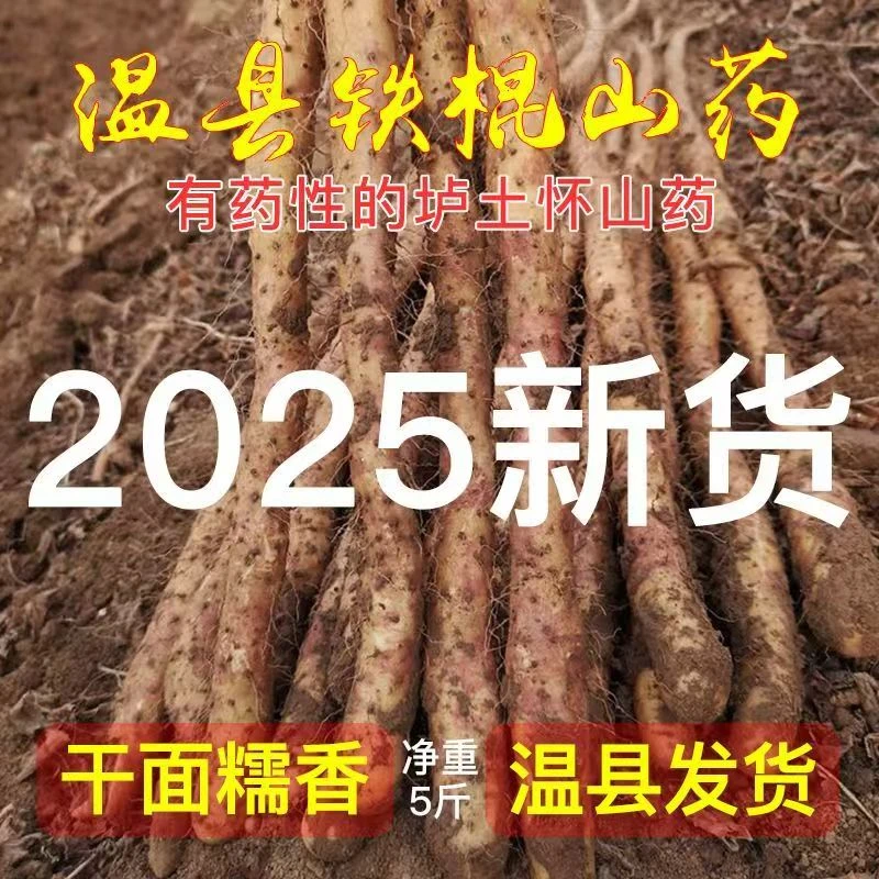 正宗河南焦作温县怀山药垆土地铁棍山药新鲜现挖软糯香甜五斤