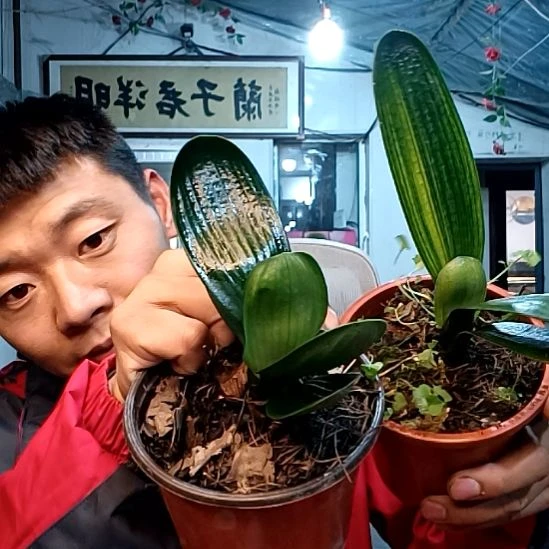 @明天会更好a39元！