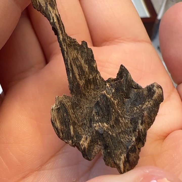 沉香摆件海南野生黎母山沉水包头2克