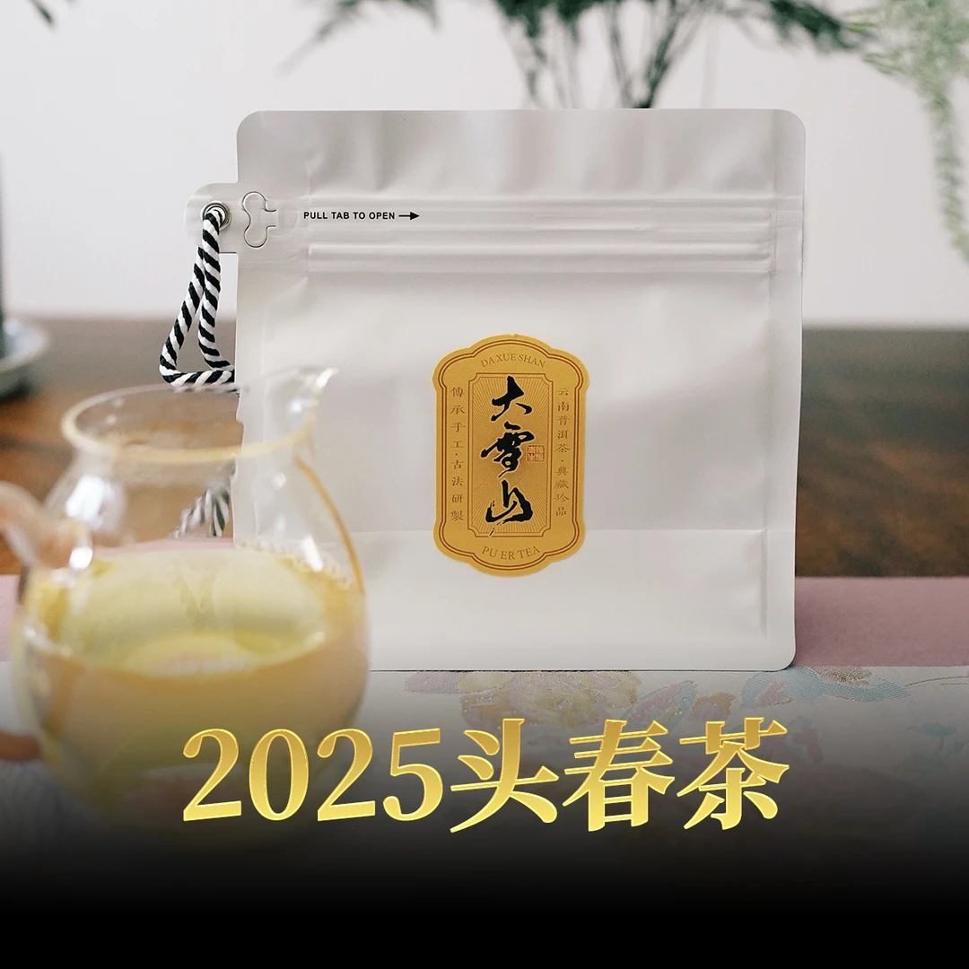 大雪山 2025头春 水含香脂粉香高级感春茶账房喝茶60g
