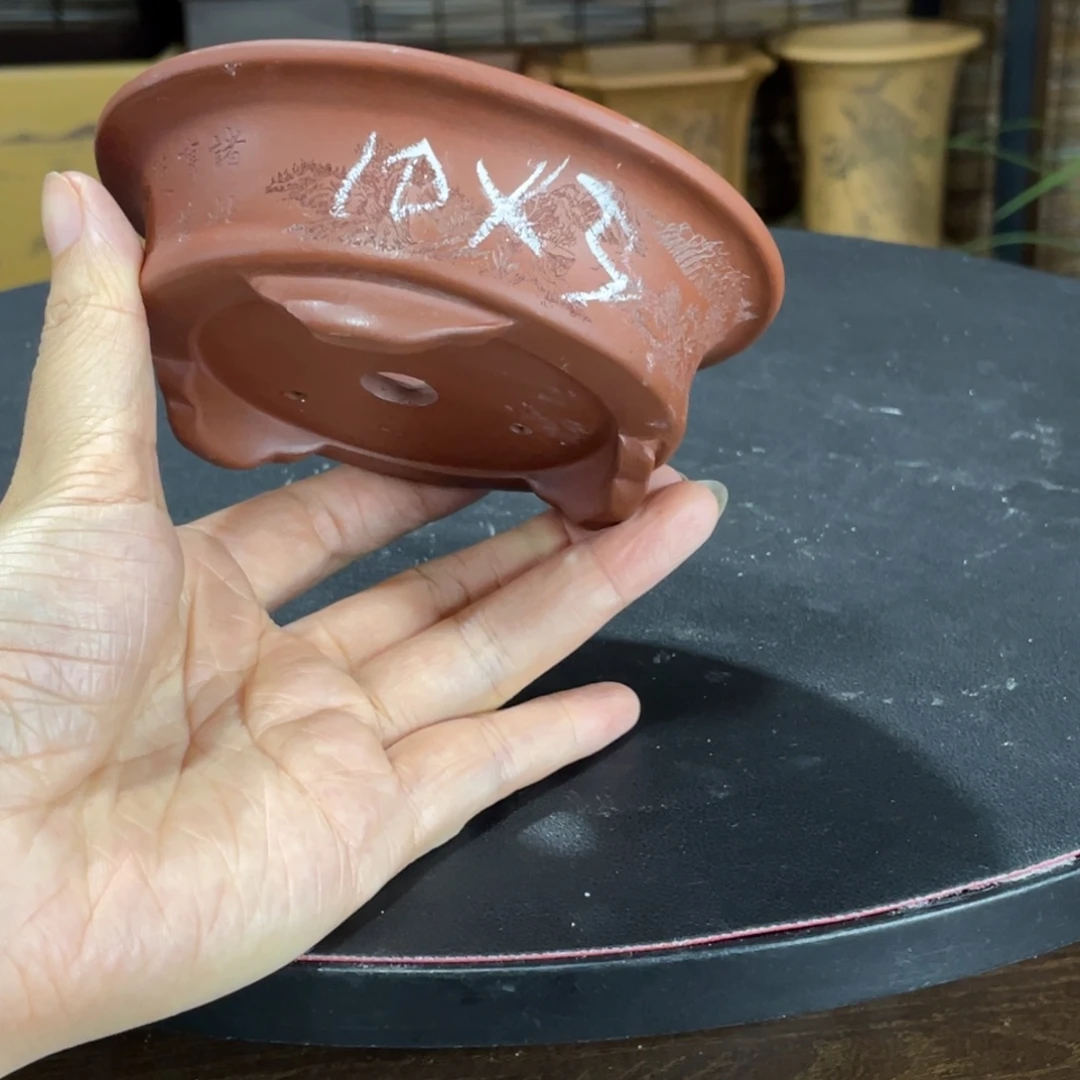 紫砂花盆你就不是