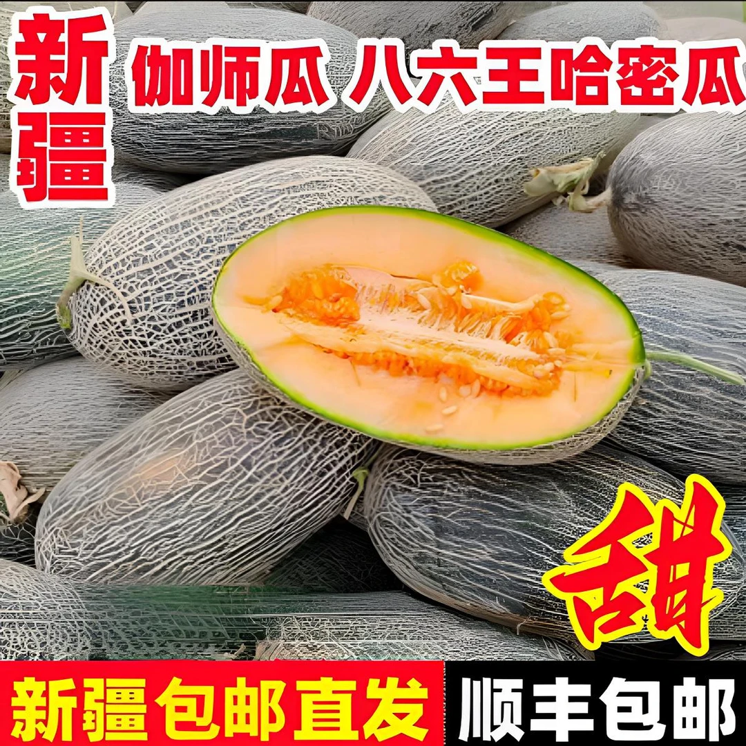 【顺丰京东包邮】新鲜现摘哈密瓜伽师瓜爆甜皮薄肉厚
