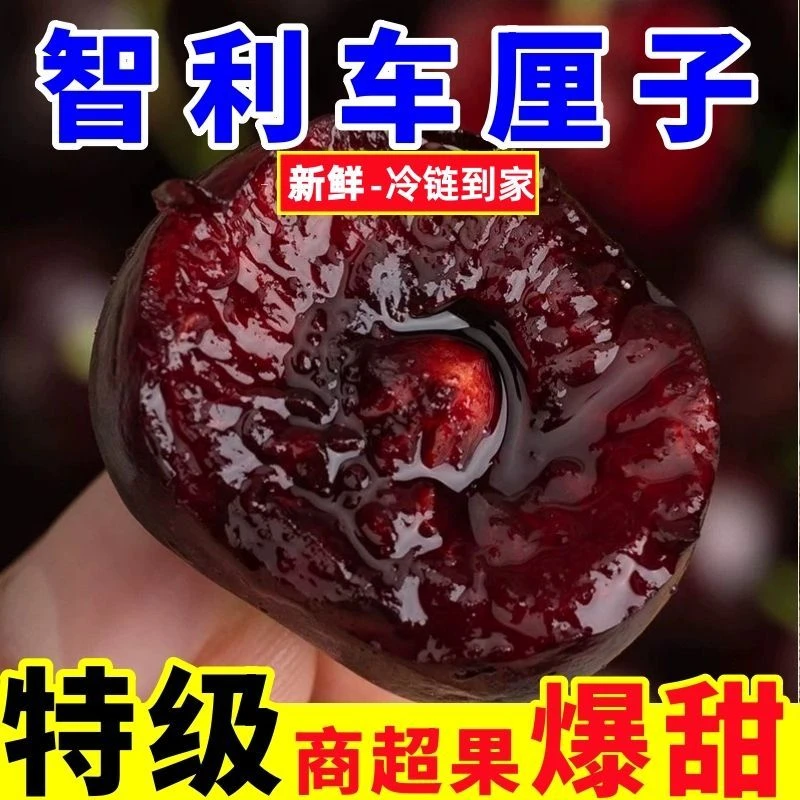 辉【3JD果王】【未拆封未拆袋】智利进口海运车厘子内附果径卡 进口原箱5斤 【包装随机】拉宾斯樱桃智利共和国