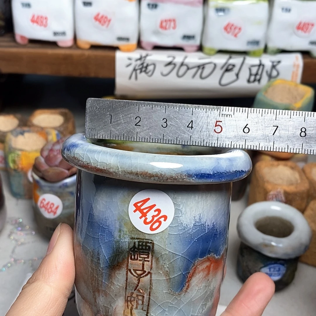 红陶拍5送一个小