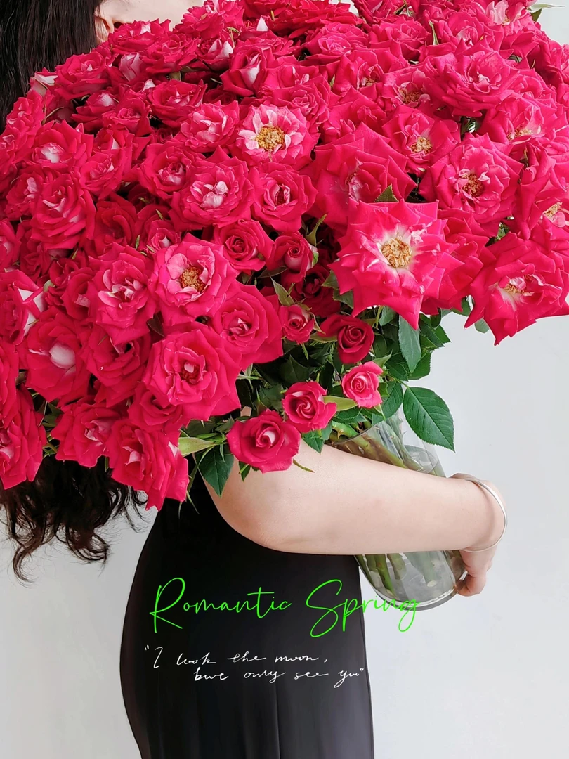 波赛尼娜多头玫瑰水养鲜花