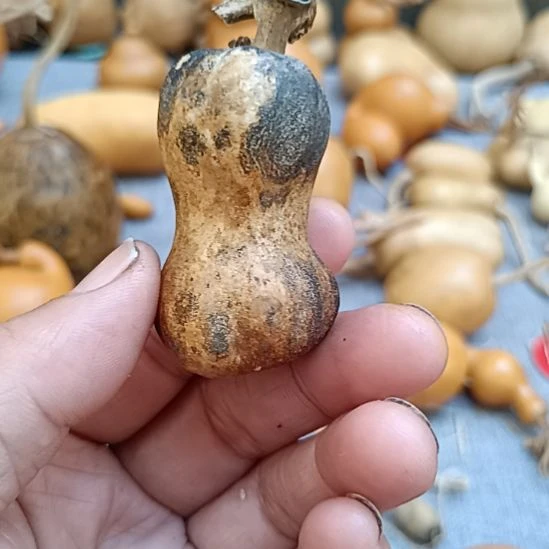 稼***祥回来哈哈哈哈哈哈哈哈哈