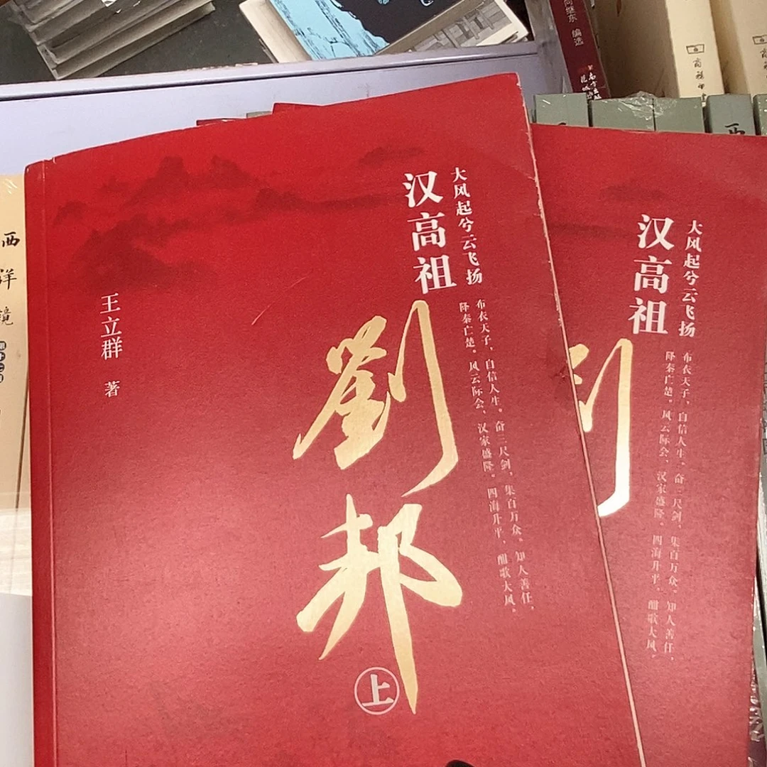 王立群  汉高祖  刘邦上下