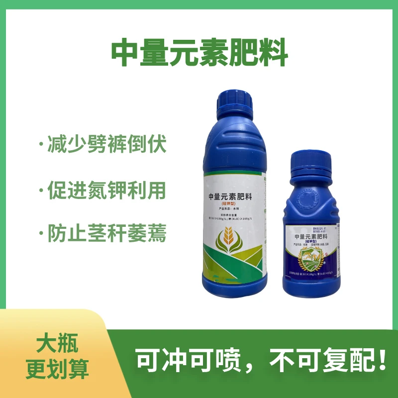 硅钾肥 ：减少生姜劈裤倒伏茎秆发软促进茎秆放粗（不能复配！）