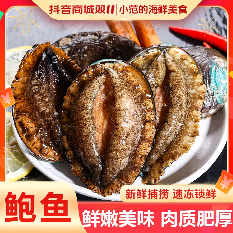 【小范】活冻鲍鱼 整只锁鲜 深海捕捞 10粒装*2包(31-35克/只)