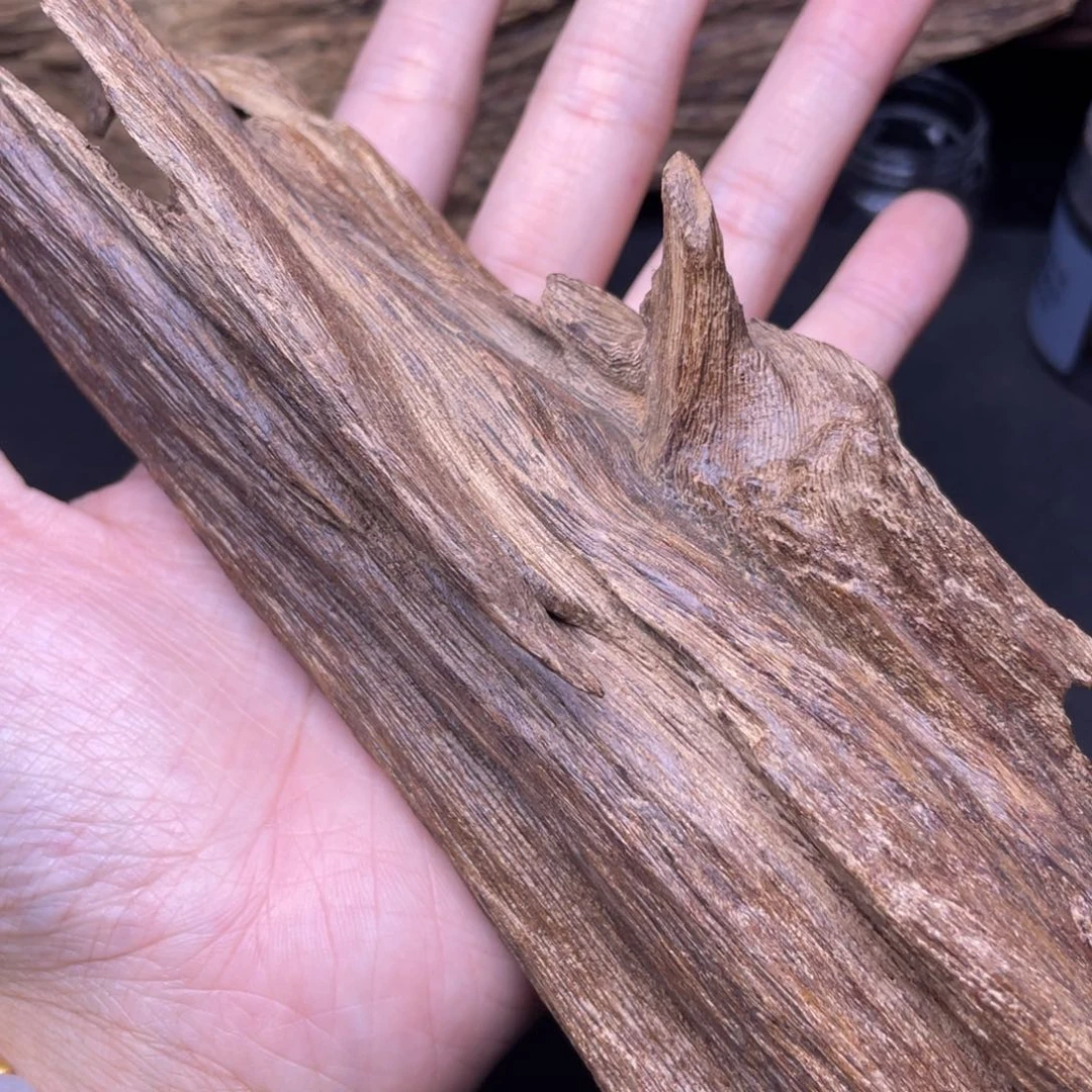 一***朴香榧木海南五指山土埋料126克