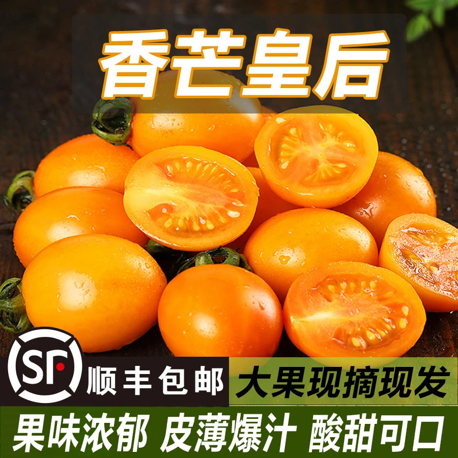 顺丰香芒皇后小番茄圣女果口感酸甜冰橙樱桃生吃脆甜小番茄