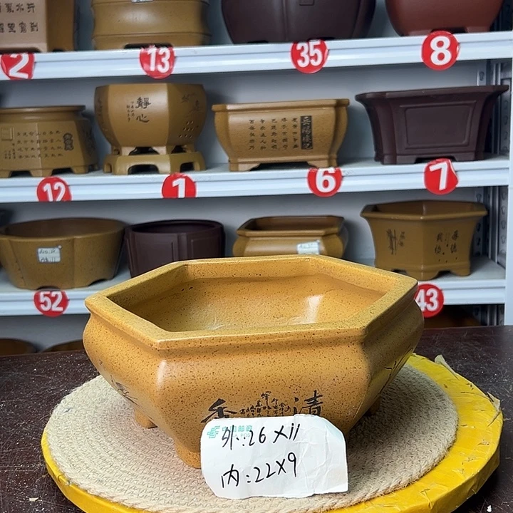 花盆紫砂你在一起