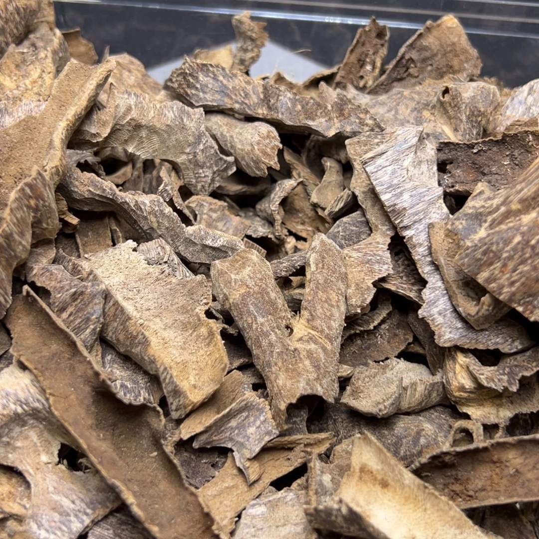 沉香沉香碎屑越南芽庄冷钻香10克