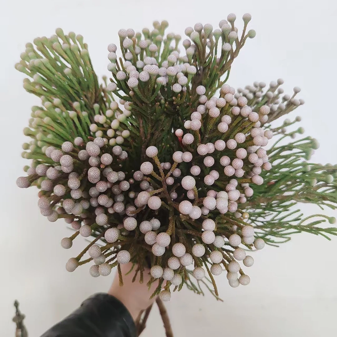 一花一瓶【多头珊瑚果花材】小众轻奢 高端花材 昆明 顺丰包邮