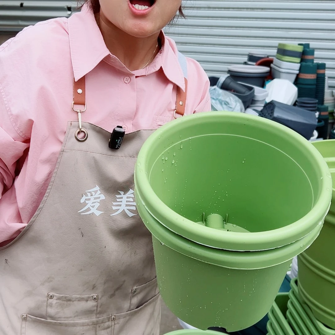 四季盆4#果绿色8个无托