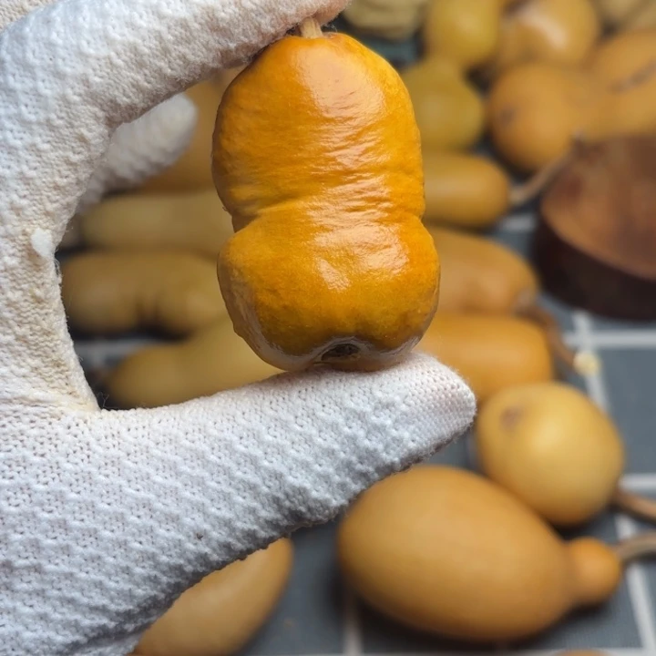 上***群66666666666666666