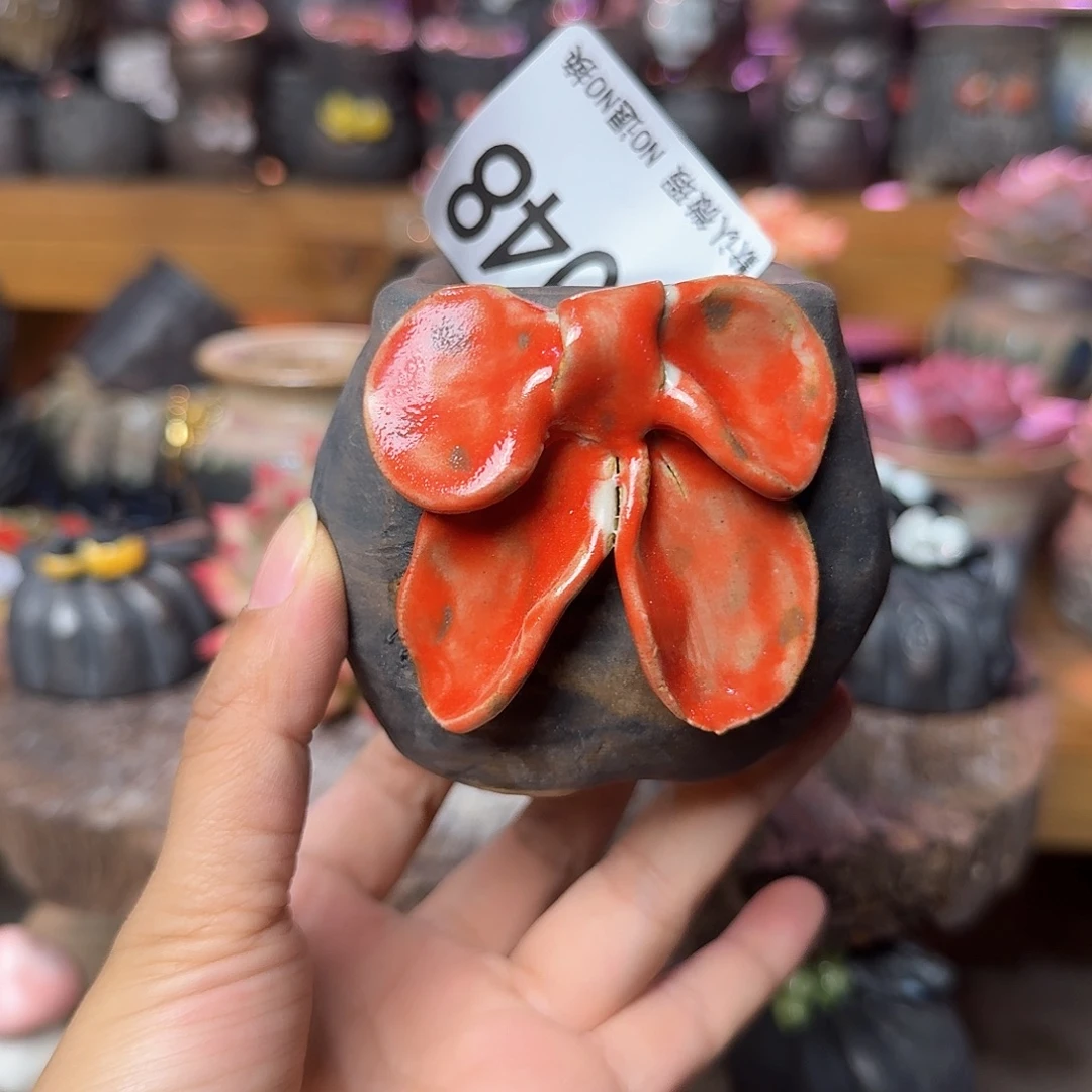 重庆小燕子欢迎大家048