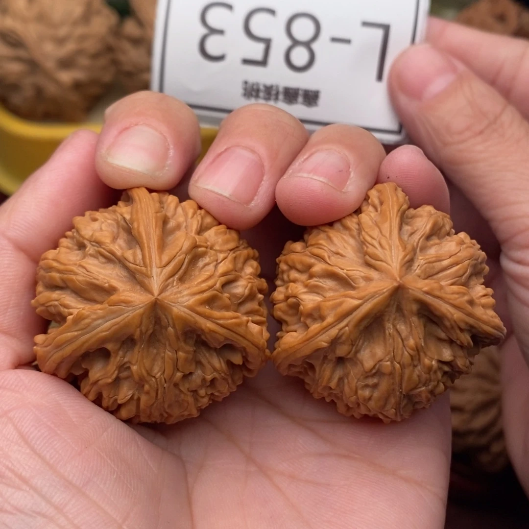 罗***生文玩核桃把件玉龙奔38….