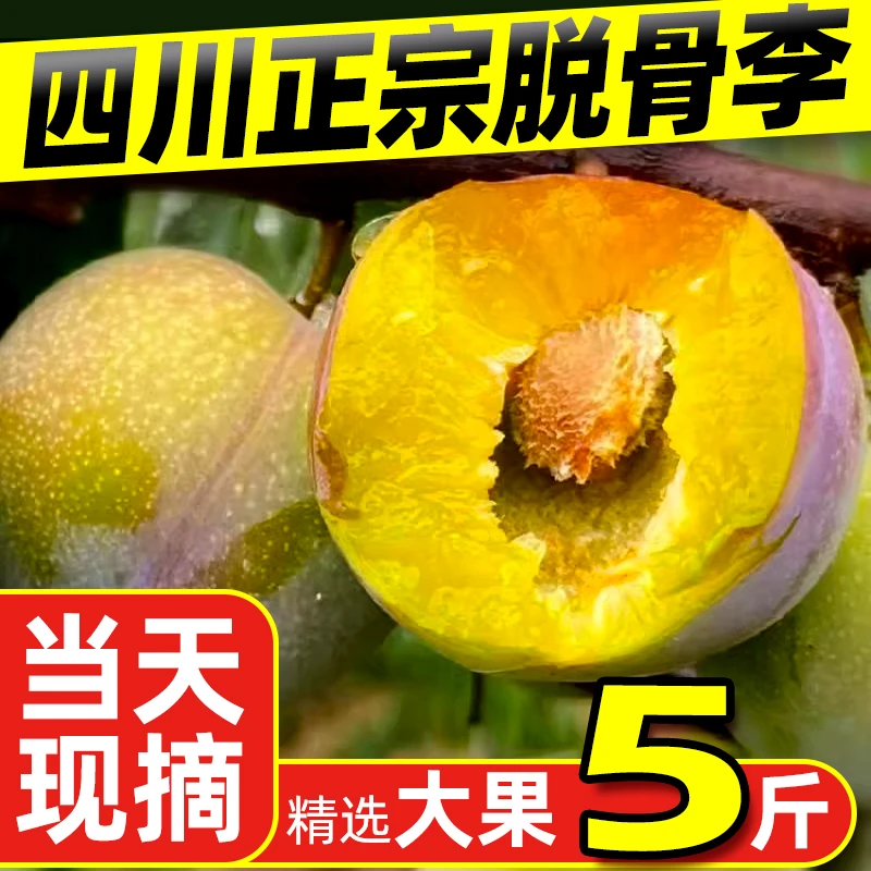 四川半边红新鲜脱骨李青脆李孕妇新鲜水果5斤包邮脆甜多汁口
