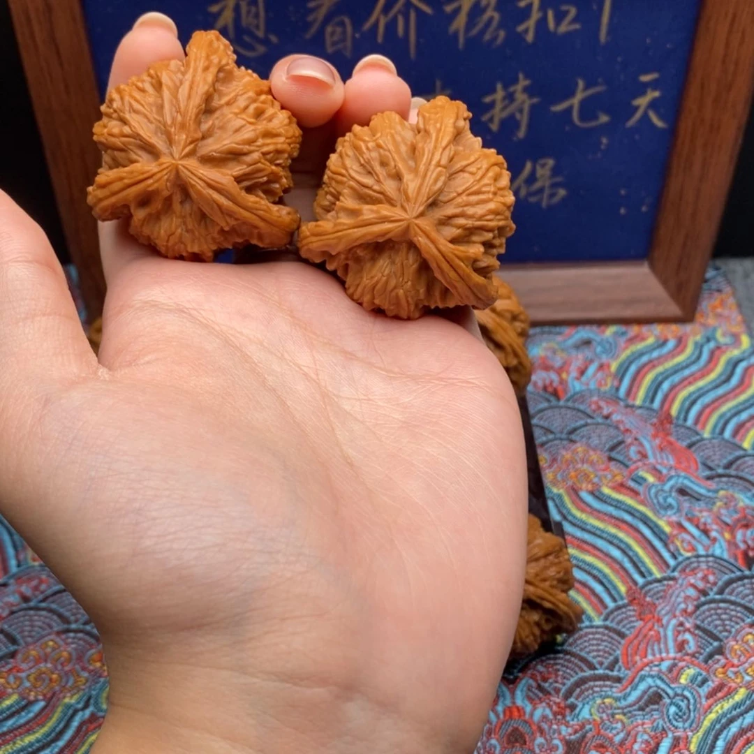 【闪购商品】如****⁵白狮