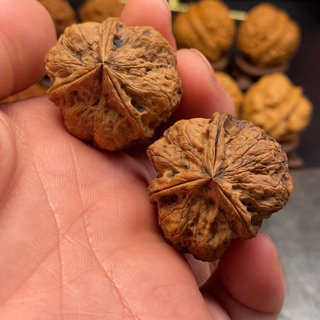 心***海把件文玩核桃梅花三愣
