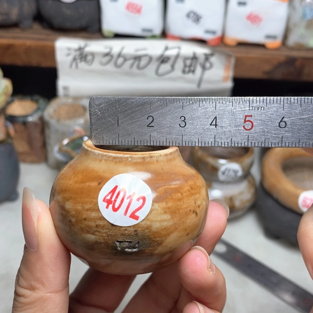 拍5送一个小礼物