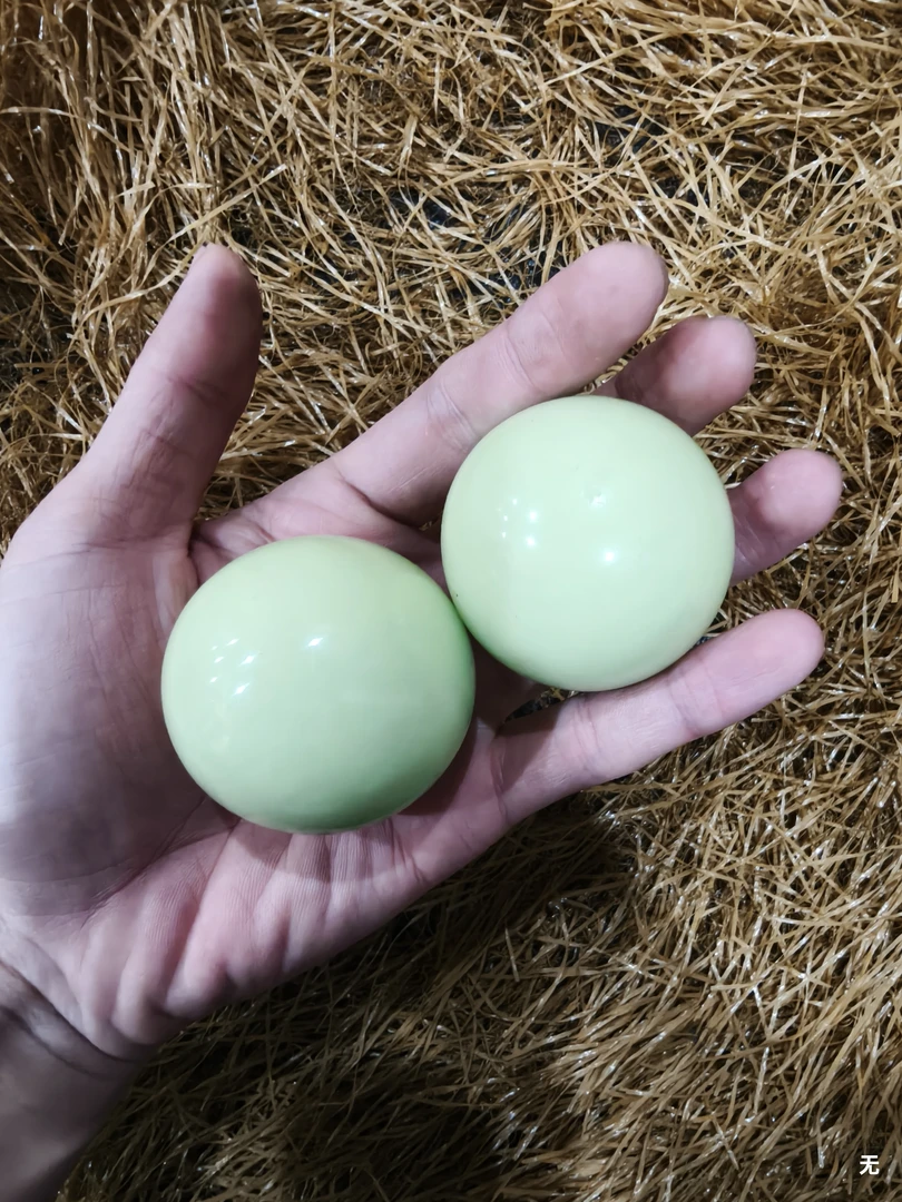 精品特色摆件25 现代仿品复古摆件