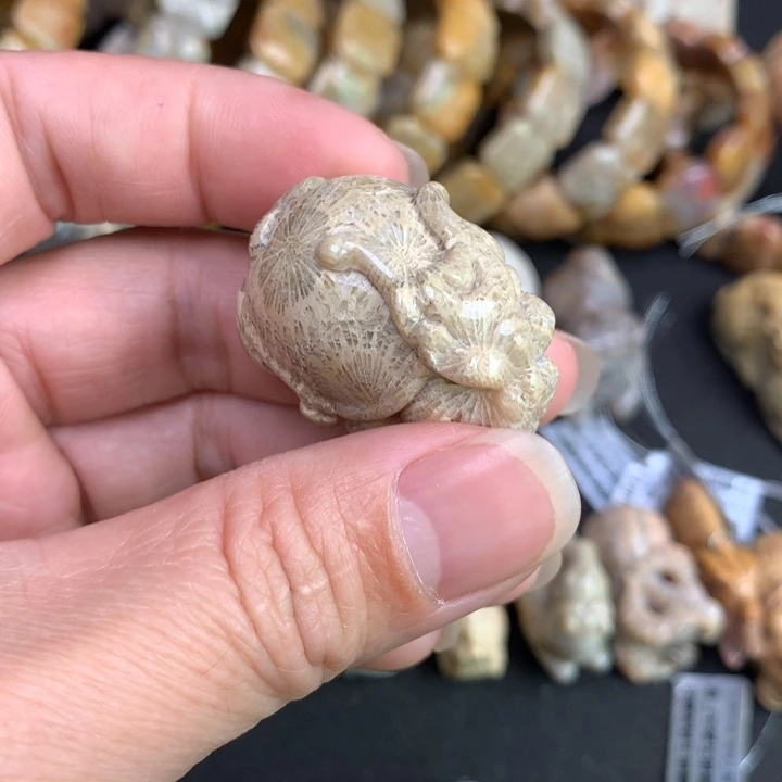 【闪购商品】硅化珊瑚（珊瑚玉）颈饰未镶嵌