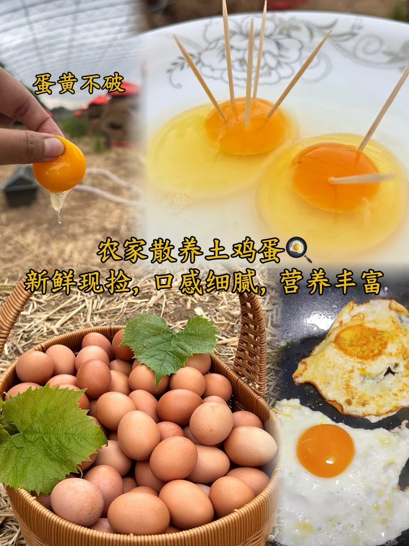 顺丰包邮五谷杂粮新鲜土鸡蛋营养价值高单枚45克以上